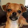 Chris Allingham - @chrisallingham - TikTok