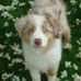 Chris Almquist - Facebook