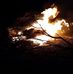 Chris Alsup - Facebook