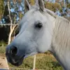 Chris Saltis - @chris.saltis3 - TikTok
