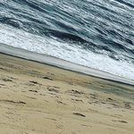 Chris Altizer - @chrisaltizer42 - Instagram