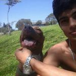 Chris Amaro - @chriis.amaro - Instagram