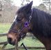 Chris Amy - Facebook