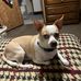 Chris Amy - Facebook