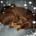 Christina Gibson Andreen - Facebook