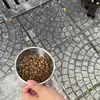 Christiana Andreoni - @christianaandreoni25 - TikTok