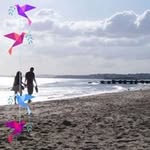 Chris Angelis - @chris.angelis.98 - Instagram