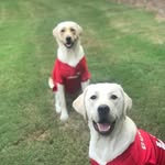 Chris Anglin - @anglin3006 - Instagram