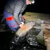 chris.angling - @chris.angling - TikTok