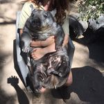 Chris Angus - @cangus54 - Instagram