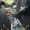 chrisangus46 - @chris.angus0 - TikTok