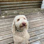 Christian Ankney - @christian.ankney - Instagram