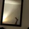 Chris Anselmo - @anselmochris - TikTok