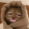 Christopher Antolin 2 - @christopher.antol0 - TikTok