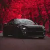 chrisantonettijos - @chrisantonettijos - TikTok