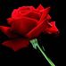 Chris Apel - Facebook