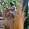 chris_daplin - @chris_daplin - TikTok