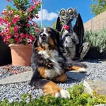 Chris Appel - @chris.appel.3139 - Instagram