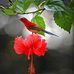 Christopher B. Appel - Facebook