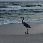 Chris Appell - @chrisappell99 - Instagram