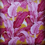 CHRIS APPLEBAUM - @sofa.king.cool.bro - Instagram