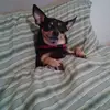 Topher1970 - @chrisappleby0611 - TikTok