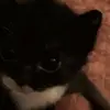Chris Aranda - @chris.aranda1 - TikTok