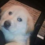 Chris Aranda - @chris_aranda75 - Instagram