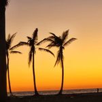 Chris Arellanes - @beermunkey4522 - Instagram