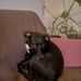 Chris Armbrust - Facebook