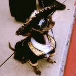 Chris Armijo - @chrisarmijo7 - Instagram