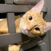 Chris Armijo - @chris.armijo68 - TikTok