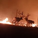 Chris Arneson - @arneson0210 - Instagram