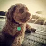 Chris Hassmann - @chrishassmann - TikTok
