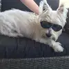 Chris Atchley160 - @c2thedizzle - TikTok