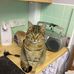 Chris Atha - Facebook