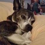 chris atkisson - @atkissonchris - Instagram