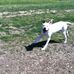Chris Atterberry - Facebook