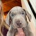 Chris Atwell - Facebook