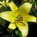 Kris Atwell - Facebook