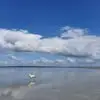 Chris Auber - @chris.auber - TikTok