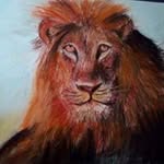 Christophe Aubert - @christophe.aubert56 - Instagram