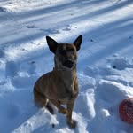Chris Auger - @chriswa125 - Instagram