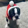 Chris Augustyn - @jaxtheboston04 - TikTok