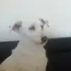 christianaugustyn7 - @christianaugustyn7 - TikTok
