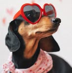 Chris Authement - Facebook