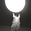 Chris.aviles7 - @chris.aviles7 - TikTok
