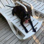 Chris Avra - @avrachris - Instagram