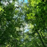 Chris Awad - @awadpoetry - Instagram