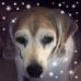 Chris Babich - Facebook